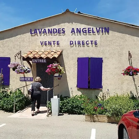 Hotel Les Alpes 3*